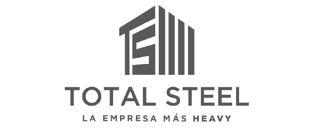 logos_TS